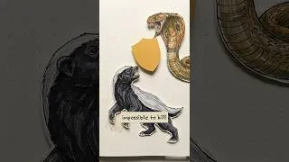 Thumbnail: How Honey Badgers Turn 180° Inside Their Own Skin 🦡 #shorts #honey  #badger  #animalsurvival