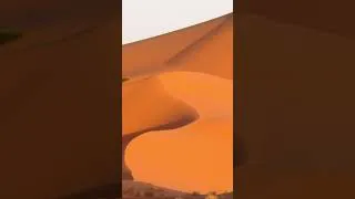 Thumbnail: Erg Chebbi, Algeria.