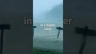 Thumbnail: Katrina was equal. The recovery was not.