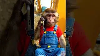 Thumbnail: 🐒💦 NaNa Hires a Digger to Build a Deep Fish Pond — The Surprise Ending SHOCKED Everyone! 😱🐟#short