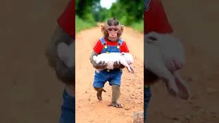 Thumbnail: 🐒⚡ Monkey NaNa JUMPS In to Save a Falling Bunny — A Split-Second Rescue! 😱🐰❤️#short