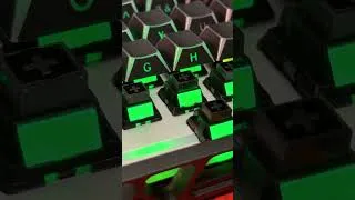 Thumbnail: WOMIER SK61 HE Magnetic Keyboard Review