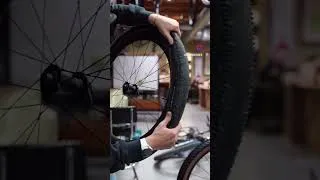 Thumbnail: Stan's OnTap keeps us rolling