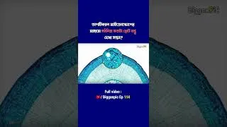 Thumbnail: অপটিক্যাল মাইক্রোস্কোপের মাধ্যমে সর্বনিম্ন কতটা ছোট বস্তু দেখা সম্ভব?