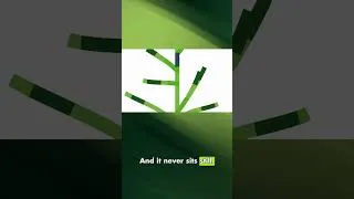 Thumbnail: Why We're Called Bigleaf