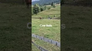 Thumbnail: CowBells