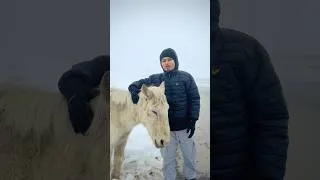 Thumbnail: He is My Friend #horse #minivlog #banglavlog #sokhergamer