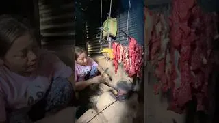 Thumbnail: himalayan life