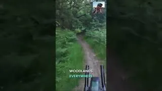 Thumbnail: Camping Spots Everywhere on the Royal Chilterns Way #shorts