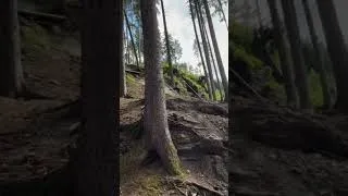 Thumbnail: MTB crash you never know #mtb #mtbreview #mtbcrash