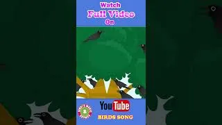 Thumbnail: #birds #learning #rhymes | Toddler Series | Kids song by Bindi's Music & Rhymes