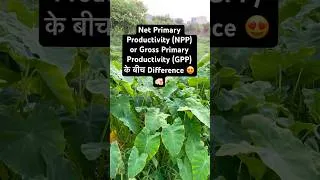 Thumbnail: Difference NPP or GPP || Ecology#botany#ecology#bscbotany#csirnetlifescience#study