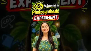 Thumbnail: Prove CO2 is Essential for Photosynthesis | Experiment #neet #shorts #study #ytshorts #class11