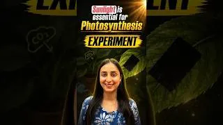Thumbnail: Prove Sunlight is Essential for Photosynthesis | Experiment #neet #biology #shorts #ytshorts #study
