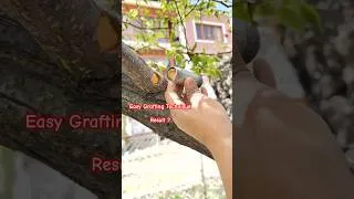 Thumbnail: Easy grating technique but failed #gardening #grafting #failed #biologybyimtiyaz #easytrick #farming