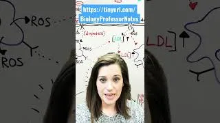 Thumbnail: How to Ace Your Biology Test! #shorts #biology #biologynotes #studywithme