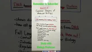Thumbnail: Biology Review: Central Dogma #shorts #biology #geneexpression