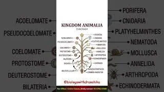Thumbnail: KINGDOM ANIMALIA 🐘 | The Fascinating World of Animals! 🌍 #kingdomanimalia #animalia #neetclasses
