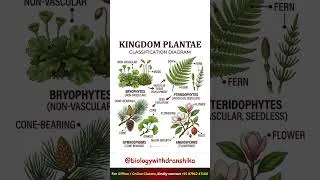 Thumbnail: Kingdom Plantae Classification 🌱 | Biology Made Easy! #kingdomplantae #plantkingdom #plantae #neet