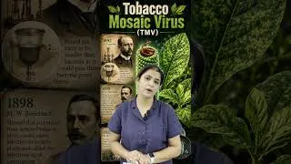 Thumbnail: Tobacco Mosaic Virus (TMV) A Classic Example of a Plant Virus! #tmv #virology #biology #neetbiology