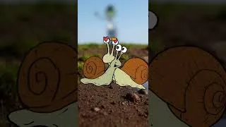 Thumbnail: Hermaphrodite #youtube #bioquest #biology #reels #trending #instagram #shorts #funny ##facebook