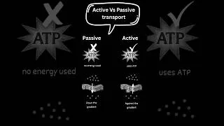 Thumbnail: Active Vs Passive transport  under 60 seconds #bioscholar #biology
