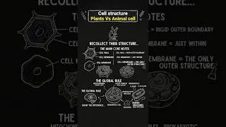 Thumbnail: #Structure of cell explained in 60 sec #shorts #bioscholar #biology