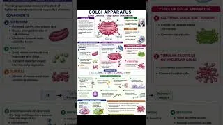 Thumbnail: Golgi apparatus #cell #cellorganelles #cellbiology #zoology #biology #botany #shortnotes