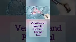 Thumbnail: CRISPR CAS9 Technology