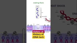 Thumbnail: History of Recombinant DNA technology #recombinantdnatechnology
