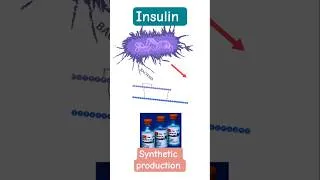 Thumbnail: #insulin  #bacteria insulin Production