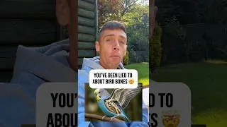 Thumbnail: Birds Don’t Fly Because They Have Hollow Bones?! 🤯🐦 #shorts