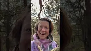 Thumbnail: Beltane - witches and decluttering 🧙‍♀️🍵☀️🫶