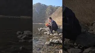 Thumbnail: Korean Persimmon #southkorea #persimmon #mukbang #pronvicelife #gangwondo #pinaylifeinkorea