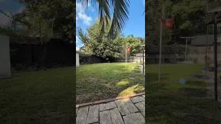 Thumbnail: Spot the Cat