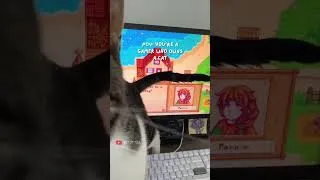 Thumbnail: Trying to Game with a Cat..