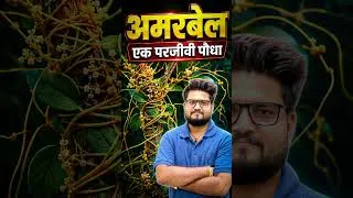 Thumbnail: अमरबेल एक परजीवी पौधा....  #bkpathaksir #facts