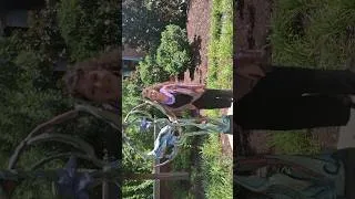 Thumbnail: Nouveau crane Installation in Alpharetta, Georgia - Public art installation
