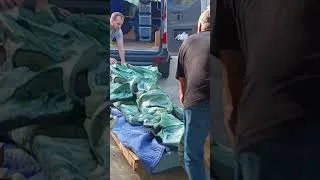 Thumbnail: Delphine - Crete Chae Clay - outdoor sculpture . Moving large work