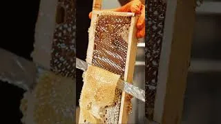 Thumbnail: My new favourite bendy uncapping tool! 🐝