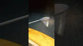 Thumbnail: Catching Flying Fish at Night