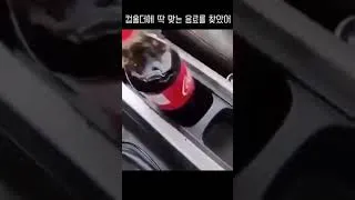 Thumbnail: 운전용 컵홀더에 딱 맞는 음료