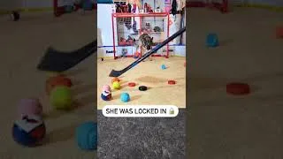 Thumbnail: A locked in dog #shorts #dog #animals #funny