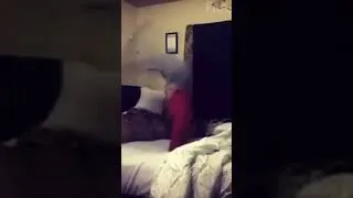 Thumbnail: Epic Backflip on bed #shorts #funny #comedy