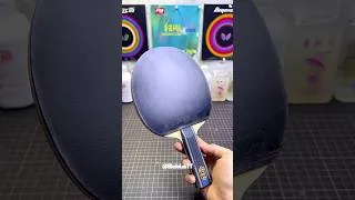 Thumbnail: 🔥 Fan Zhendong ALC + Hurricane 3 + DNA Platinum | Table Tennis Setup 🏓 #tabletennis  #pingpong