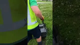 Thumbnail: Super Satisfying Mow Job Results