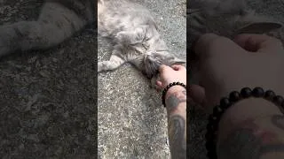 Thumbnail: Made a new friend