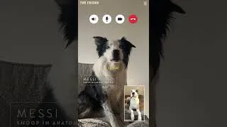 Thumbnail: The Friend | Bing & Messi FaceTime | Bleecker Street