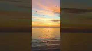 Thumbnail: Note today, sing everyday! #quotes #lovingvibes #happiness #love #positivity #motivation #goodvibe