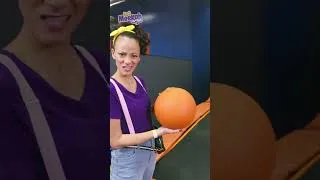 Thumbnail: Flips
